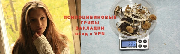гашик Белоозёрский