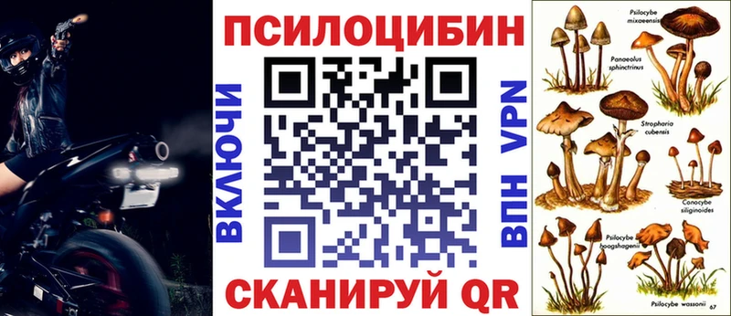 Галлюциногенные грибы Psilocybe нарко площадка как зайти Красный Кут